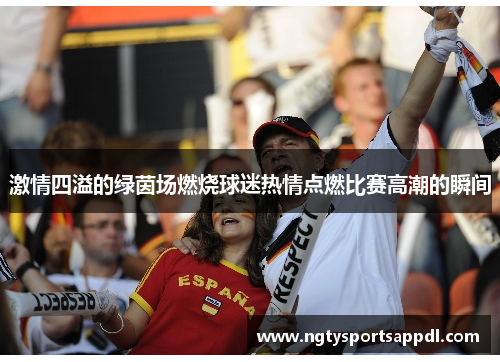激情四溢的绿茵场燃烧球迷热情点燃比赛高潮的瞬间