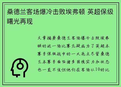 桑德兰客场爆冷击败埃弗顿 英超保级曙光再现