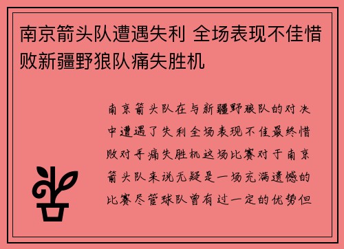 南京箭头队遭遇失利 全场表现不佳惜败新疆野狼队痛失胜机